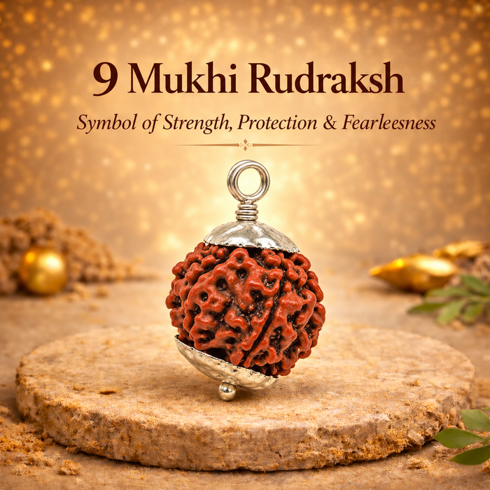 9 Mukhi Rudraksha (Government Lab Certified)