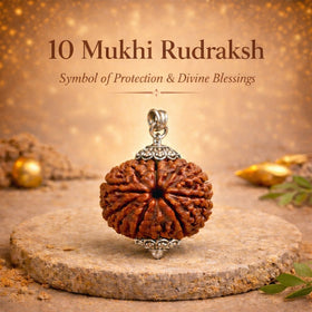 10 Mukhi Rudraksha (Government Lab Certified)