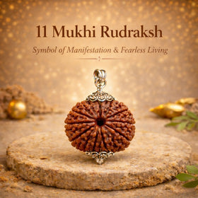 11 Mukhi Rudraksha (Government Lab Certified)