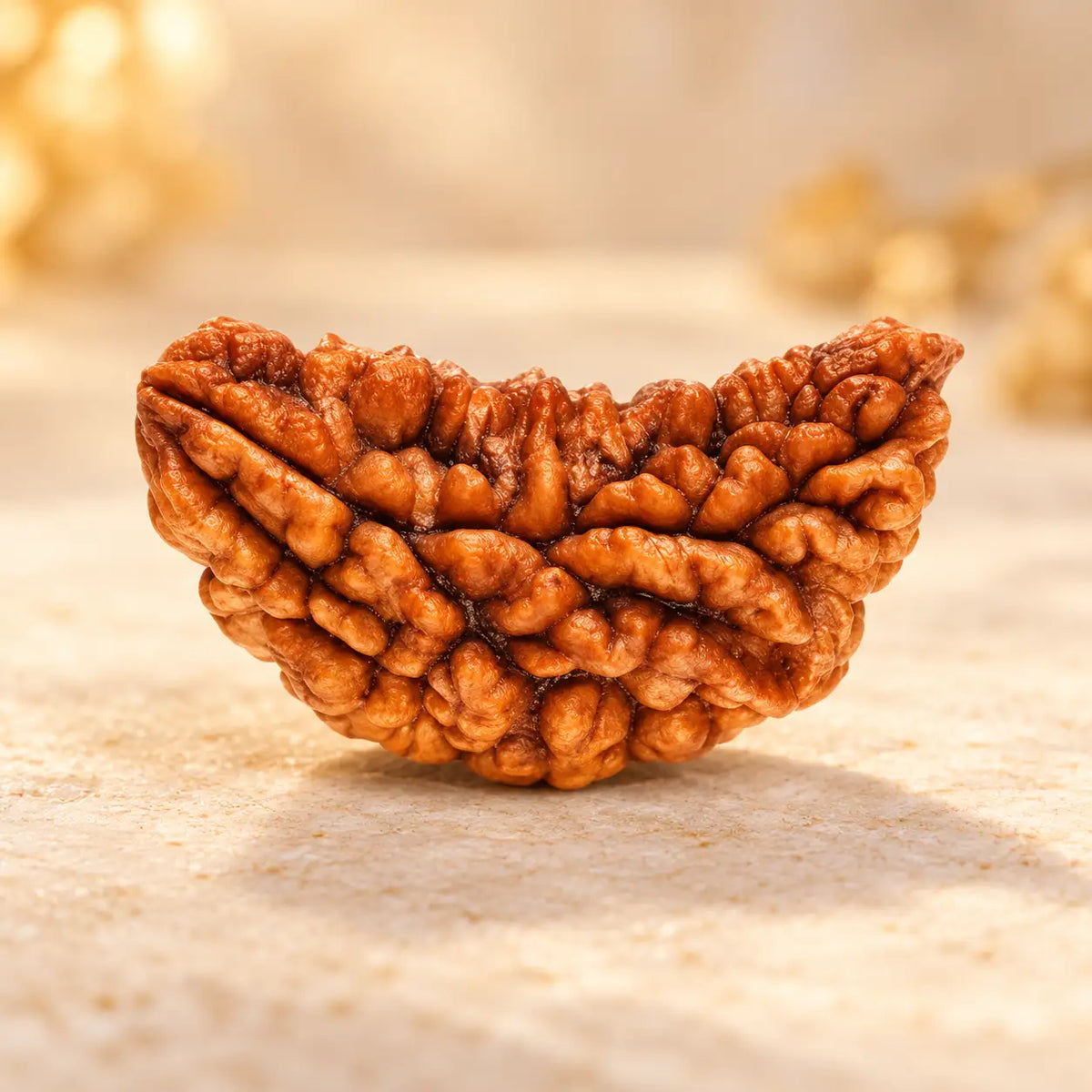 Mulank 1 Crystal Bracelet + 1 Mukhi Rudraksha Combo | Certified